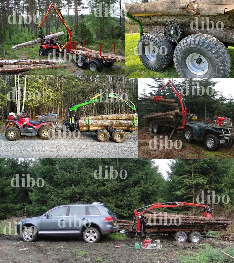 product-800-900 product-800-900
